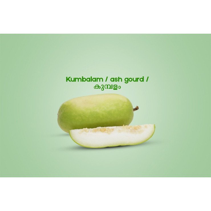 Kumbalam / ash gourd / കുമ്പളം - 500gm 